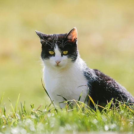 Chata Tapka Dolna Mała Upa Zewnętrze zdjęcie